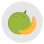 icone-melon
