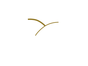 Domaine Chevalier